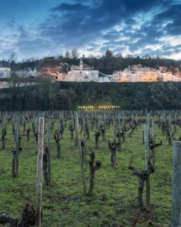 La Grande Vignolle - G. Angibaud