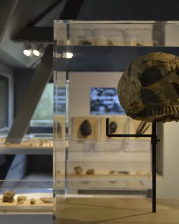 Musée de Préhistoire - Vallée des grottes de Saulges