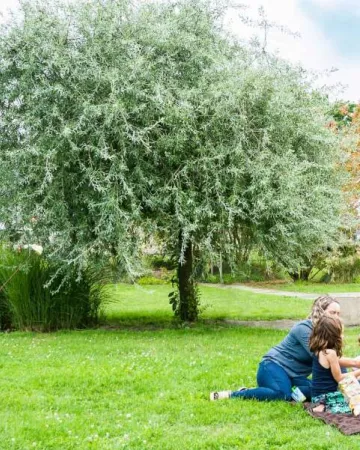 Office de Tourisme Vallée de la Sarthe /Stevan