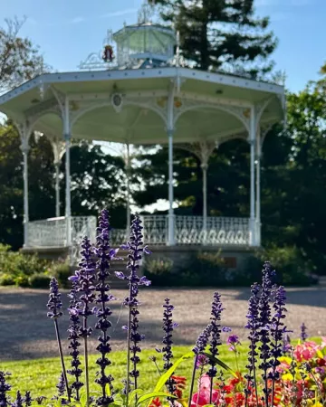 Tous droits réservés