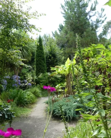 Tropicarium Bonzai La Baule