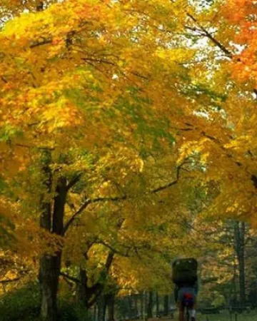 OT Sainte-Suzanne - Les Coëvrons