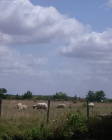 ©officedetourisme-Chaillélesmarais