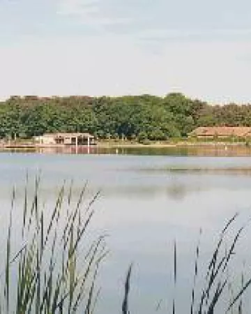 ©Mairie-de-Mesnard-la-Barotière