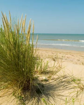 OT Pays de Saint Jean de Monts