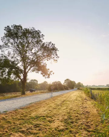 ©alexandre lamoureux