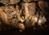 Musée de Préhistoire - Vallée des grottes de Saulges