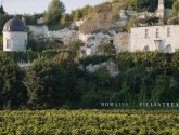 Visit the vineyards of Anjou-Saumur and discover its cultural heritage