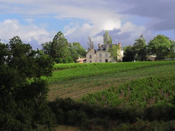 Chateau de la Viaudière