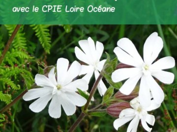 CPIE - Loire Océane