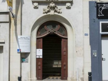 Musées d’Angers, D. Riou.