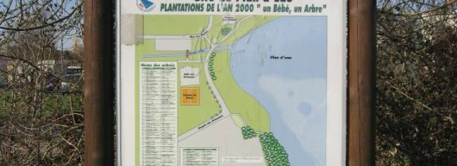 PLANTATIONS LES BEBES DE L'AN 2000