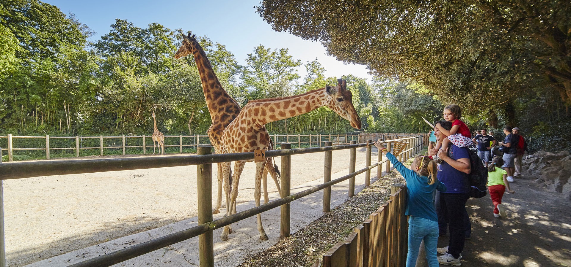 Zoo Les Sables d'Olonne - Photo A. Lamoureux-Vendee Expansion
