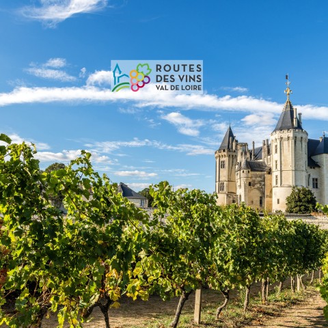 4 great reasons to discover the Routes des Vins wine trails 