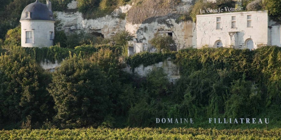 Visit the vineyards of Anjou-Saumur and discover its cultural heritage